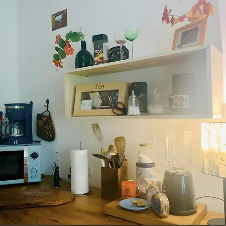 בית הארחה Haus Sanjenova קאסל